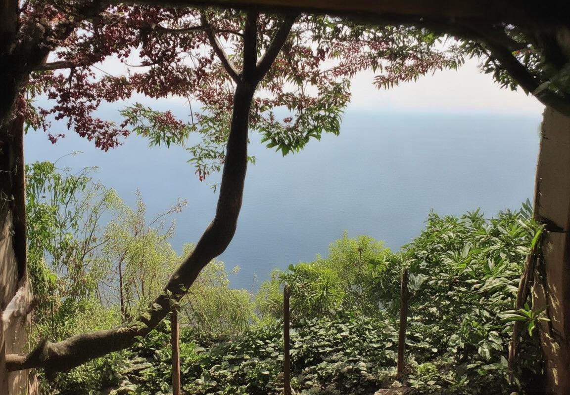 德甲焦点战：弗赖堡VS门兴对决回顾与深度分析(图3)